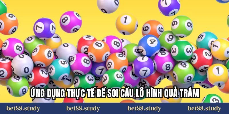 Ứng dụng thực tế để soi cầu lô hình quả trám